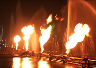 지상 불 물 특징/음악 춤 샘 DMX 빛 유형을 급수하십시오 협력 업체